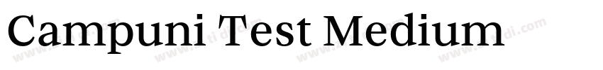 Campuni Test Medium字体转换